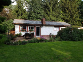 Отель Ferienhaus zum Vogelnest  Тале